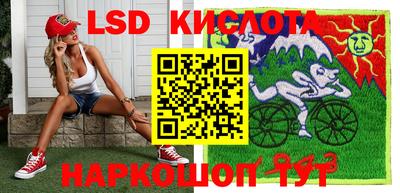 гидра Будённовск