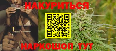 гидра Будённовск
